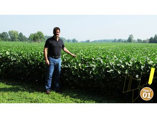 Property photo 7 - 470 Acres Mostly Productive Tillable Land - 6 Tracts